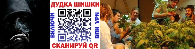 наркота  Серафимович  Канабис сатива 